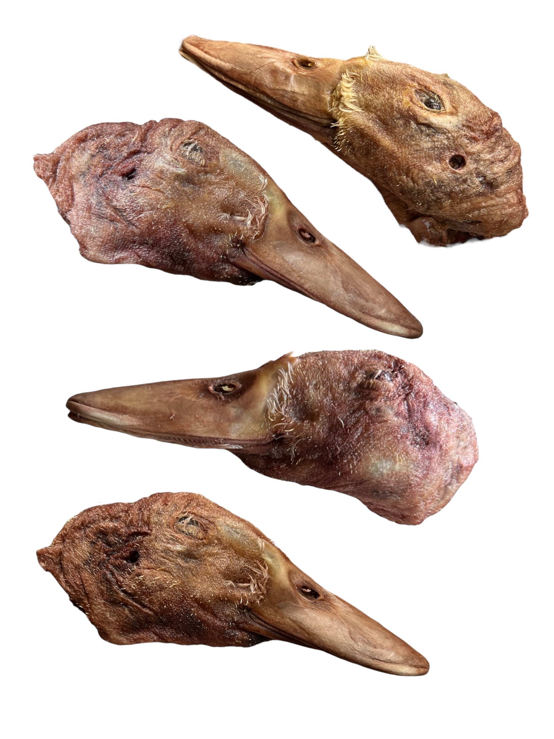 Freeze Dried Duck Heads